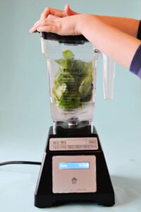 blendtec blender