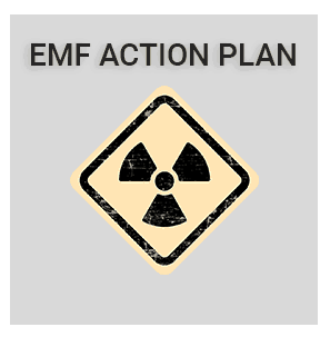 light-grey-emf-action-plan