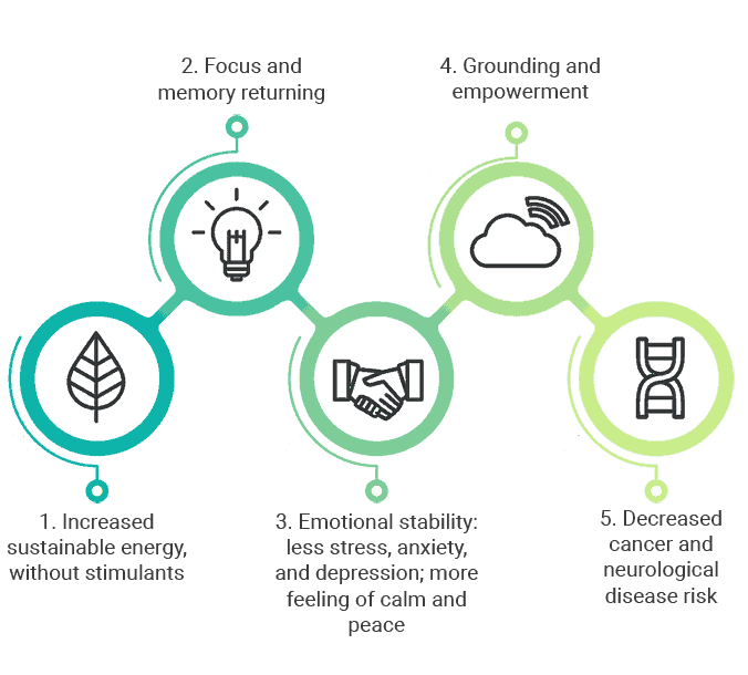 EMF-infographic