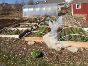 Photograph of a sprawling garden, from "9 Ways to Get Kids to Drink Healthy Green Smoothies" at Green Smoothie Girl.