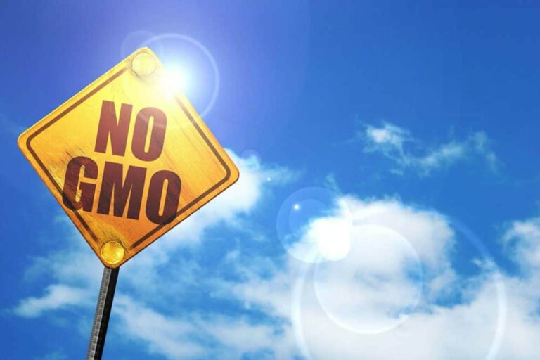 NO GMO Sign