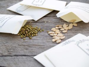 Use, save and store heirloom (non-gmo) seeds