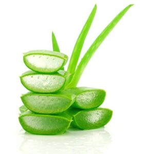 Hand-fileted aloe is a powerful ingredient on the Green Smoothie Guide!