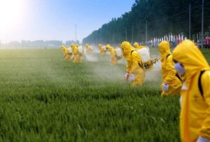 What is Glyphosate? | Wheat Is Good For You! (But Not How You’re Eating It)