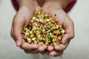 Photo of hand holding sprouted flax from "What’s The Best Way to Get Omegas? Fish Oil? Nooooo!" by Green Smoothie Girl