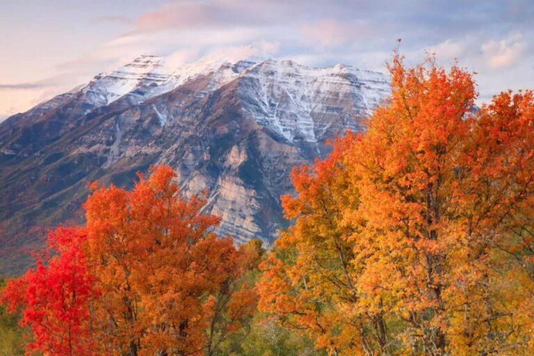 beautiful fall day in the Wasatch Mountains, Utah