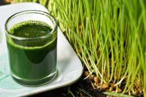 Photo of green wheatgrass juice next to wheatgrass from "Mums’ Magical Antiviral Hot LemonAid Tonic" by Green Smoothie Girl