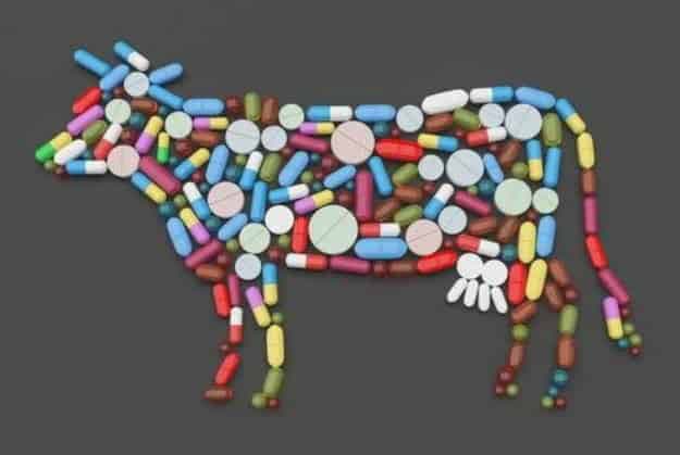 Is Livestock Fed Hormones and Antibiotics? | A Review Of John Robbins’ Epic Work, The Food Revolution