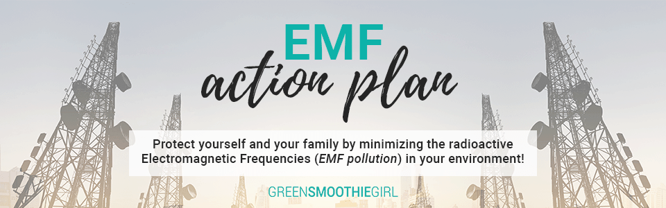 emf-action-plan-banner