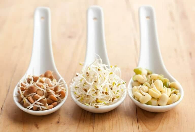 Photo of three white spoons holding sprouted beans from "How Digestive Enzymes Work--And Why You’re Probably Deficient" blog post by Green Smoothie Girl