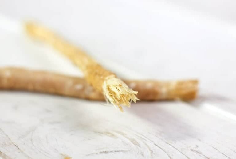 Feature image of miswak stick toothbrush with bristles exposed from "Miswak Toothbrush" by Green Smoothie Girl
