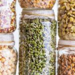 Blog: Sprouting 101: How to Sprout Grains, Nuts, and Seeds at Home