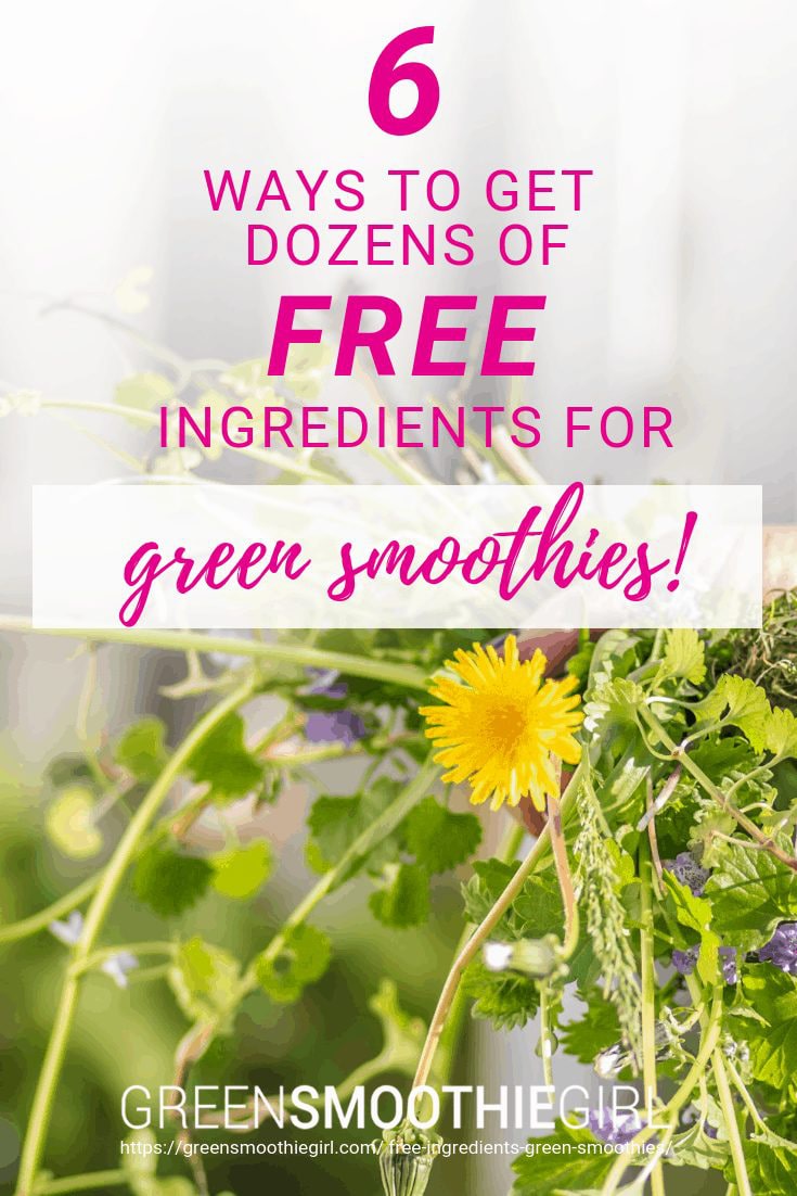 6 Ways to Get Dozens of Free Ingredients for Green Smoothies