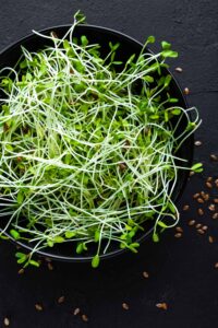 Photograph of flaxseed sprouts against a dark background, from "Top 11 Greens to Use in Green Smoothies" at Green Smoothie Girl.