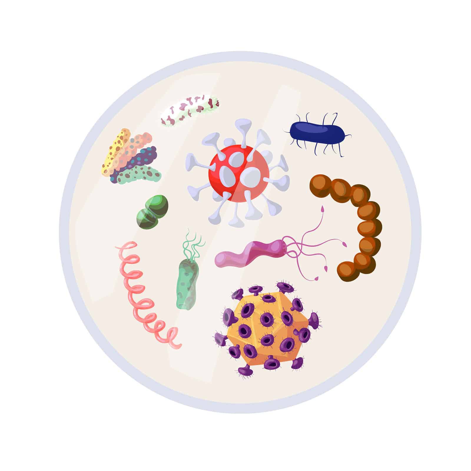 How To Use Coconut Oil For Wounds