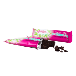 The Pink Smoothie Blendbar from Green Smoothie Girl