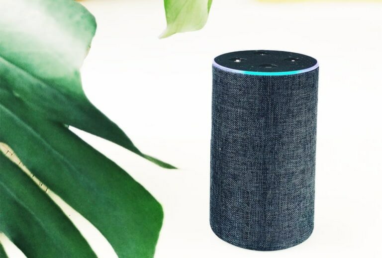 an amazon echo