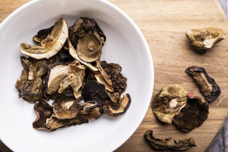 dried mushrooms in a white bowl
