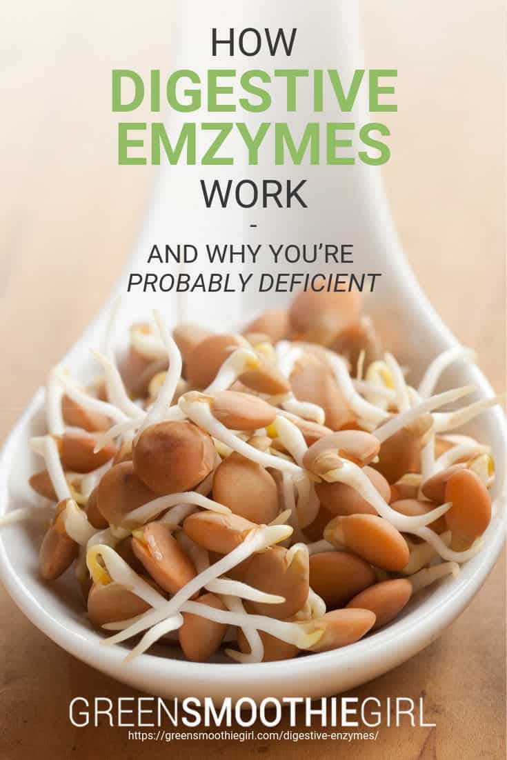 Photo of white spoon holding sprouted beans with post's title text overlay from "How Digestive Enzymes Work--And Why You’re Probably Deficient" blog post by Green Smoothie Girl