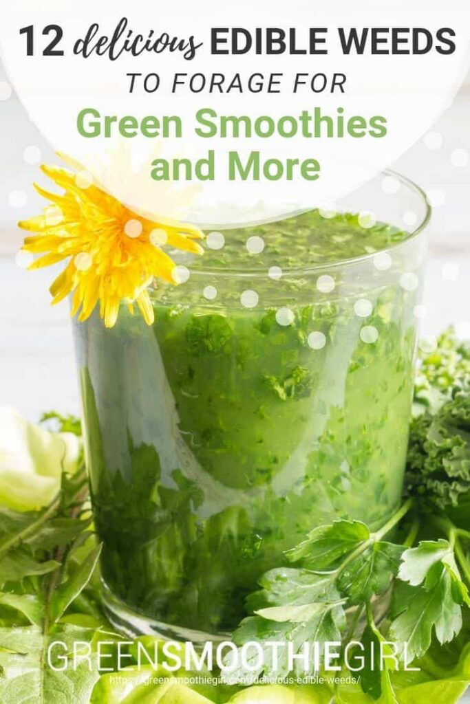 12 Delicious Edible Weeds to Forage for Green Smoothies | Green Smoothie Girl