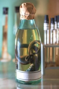 Photo of a snake in Formaldehyde from "Can Nail Polish Be Healthy? Don’t Paint Your Nails Again Without Reading This!" at Green Smoothie Girl.