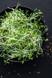 Photo of sprouted flax from "Chia Seed vs. Flax Seed: Similarities, Differences, and When To Use Each" at Green Smoothie Girl.