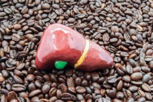 Photo of coffee and liver model from "10 Amazing Treatments By Europe's Biological Medicine Doctors" at Green Smoothie Girl.