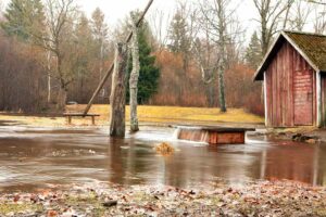 Photo of well overflowing on farmland from "What To Do About Toxic Paint, Carpet, Furniture (Offgassing For Years!)" by Green Smoothie Girl