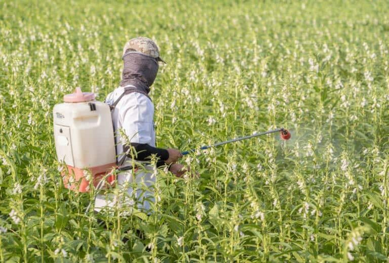 Picture of person in chemical protective suit spraying chemical Roundup on green field from "Who’s Taking a Stand Against Roundup? (and Other Glyphosate Herbicides)" by Green Smoothie Girl