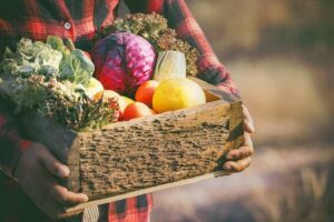 Photo of farmer holding box of organic vegetables from "Is Buying Organic Food Always Necessary?" by Green Smoothie Girl