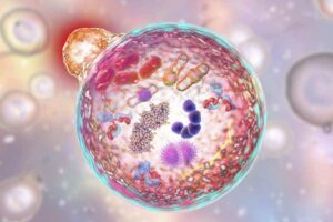 Illustration of cellular autophagy function from "Why I Developed The Flash Fast: Modified Fasting Made Easy And Fun" by Green Smoothie Girl