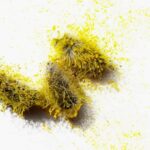 Photo of a yellow fuzzy pollen with post's title text overlaid from "9 Recipes to Treat Seasonal Allergies" blog post by Green Smoothie Girl
