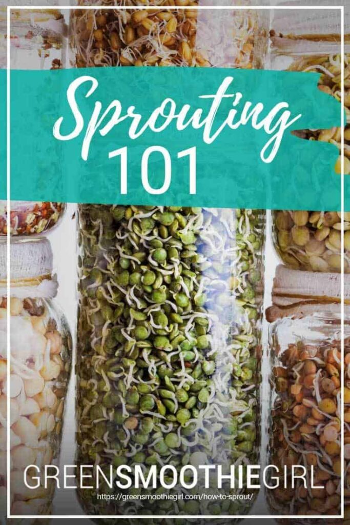 Sprouting 101 from GreenSmoothieGirl