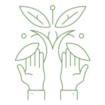 illustration of 2 hands reaching towards leaves of a plant indicating the idea of hope