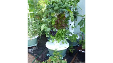Step 5: Gardening and Heirloom seeds, Video Thumbnail
