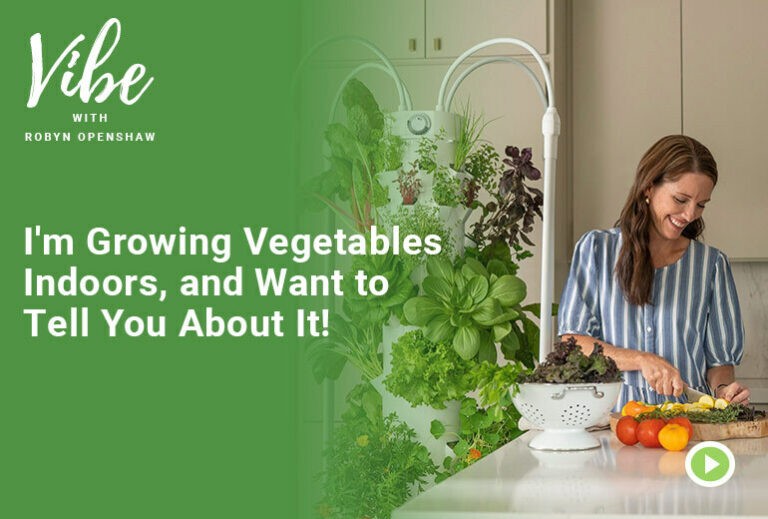 Vibe with Robyn Openshaw: I'm growing vegetables indoors, and want to tell you about it!