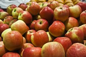 Apples produce