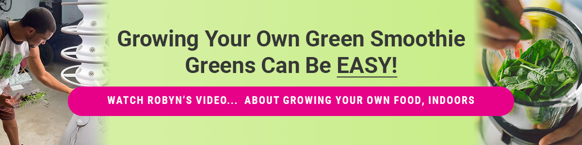 Grow your own green smoothie greens