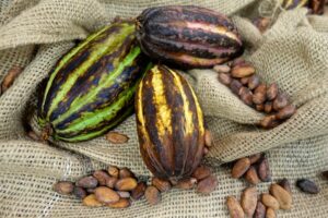 Cacao bean, chocolate