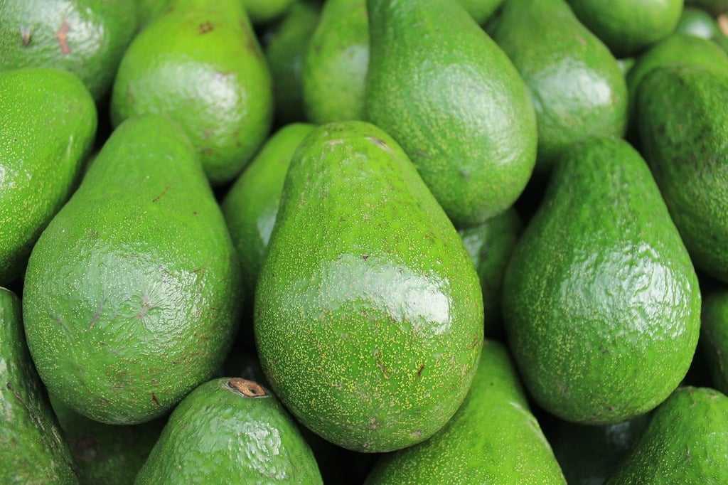 7 Impressive Benefits of Eating an Avocado Daily - GreenSmoothieGirl