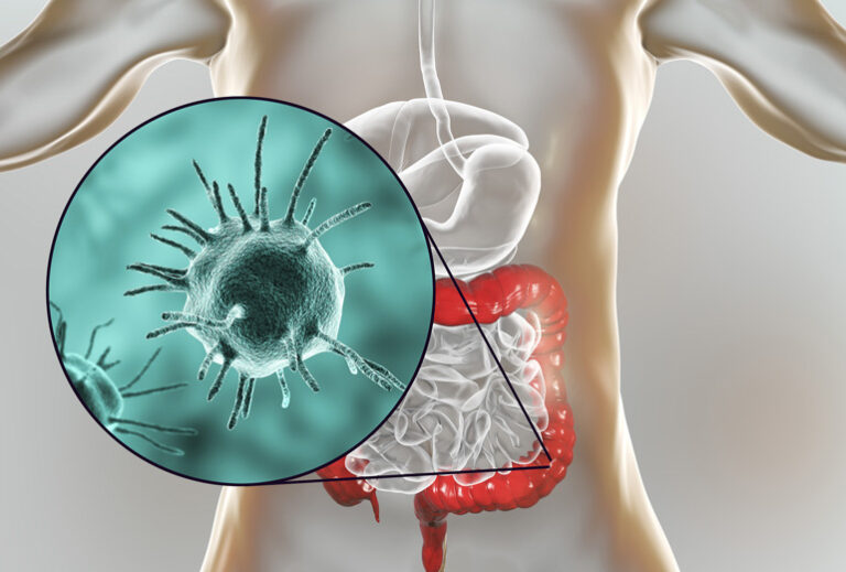 The Truth About Parasites feature image
