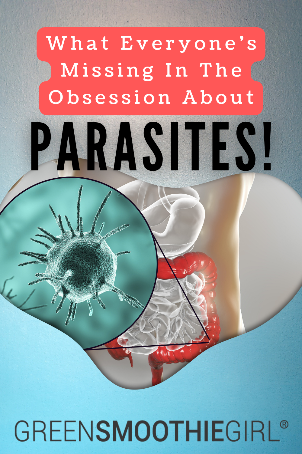 What Everyone's Missing In The Obsession About Parasites!