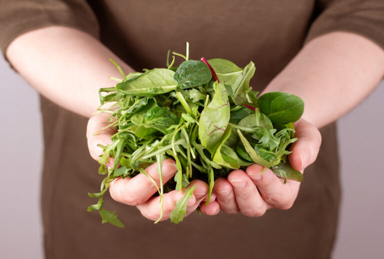 Dinosaur Greens trend