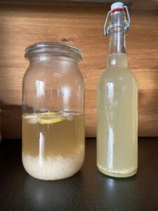 Rejuvelac gut-healing holiday drink 